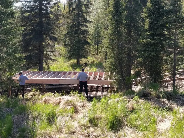 The first framing going up against the tree line