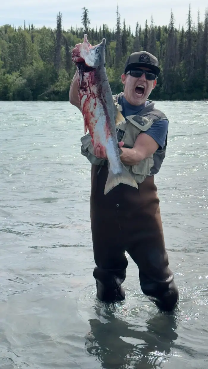 An angler standing in the river, hoisting up a bright salmon
