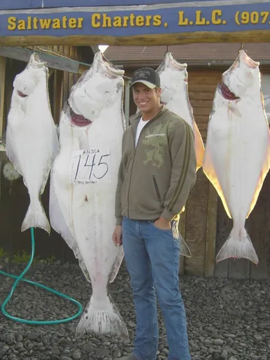 Row of large halibut hung up at the dock after a successful trip.