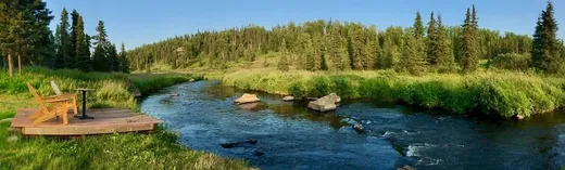 Wide river panorama framed by spruce forest