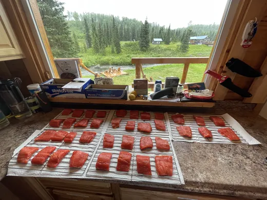 Salmon fillets laid out on trays inside the lodge.