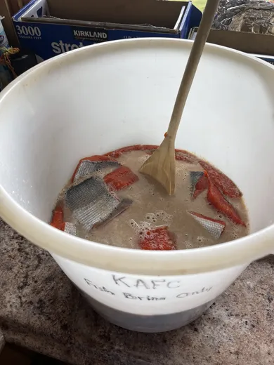 Fresh-caught salmon in a bucket, top-down view.