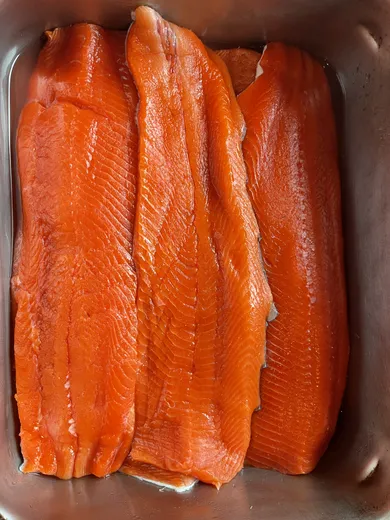 Bright orange salmon fillets ready for processing.
