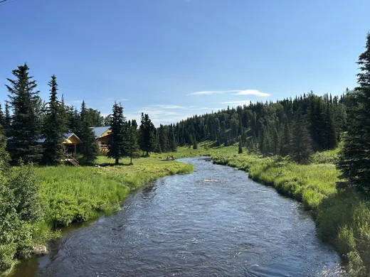 Clear river winding through a boreal forest on a sunny day.